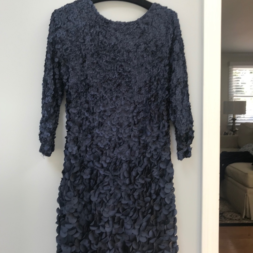 3D Floral Appliqué Dress